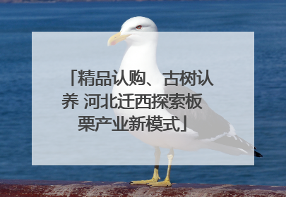 精品认购、古树认养 河北迁西探索板栗产业新模式