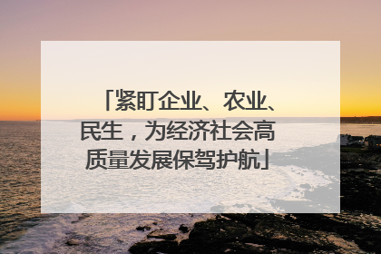 紧盯企业、农业、民生，为经济社会高质量发展保驾护航