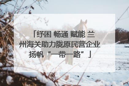 纾困 畅通 赋能 兰州海关助力陇原民营企业扬帆“一带一路”