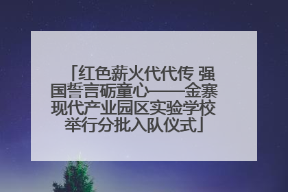 红色薪火代代传 强国誓言砺童心——金寨现代产业园区实验学校举行分批入队仪式