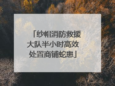 纱帽消防救援大队半小时高效处置商铺蛇患