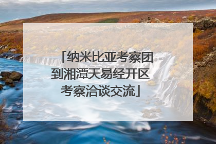 纳米比亚考察团到湘潭天易经开区考察洽谈交流