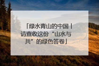 绿水青山的中国丨请查收这份“山水与共”的绿色答卷