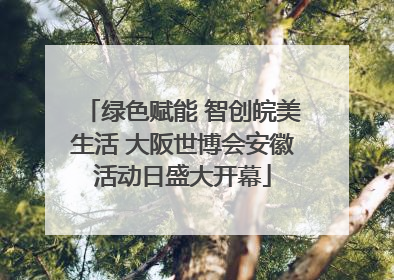 绿色赋能 智创皖美生活 大阪世博会安徽活动日盛大开幕