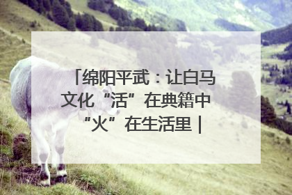 绵阳平武：让白马文化“活”在典籍中 “火”在生活里｜新闻发布最前线