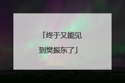 终于又能见到樊振东了