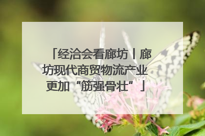 经洽会看廊坊丨廊坊现代商贸物流产业更加“筋强骨壮”
