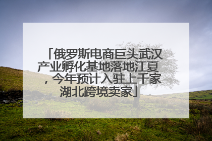 俄罗斯电商巨头武汉产业孵化基地落地江夏，今年预计入驻上千家湖北跨境卖家