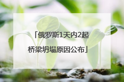 俄罗斯1天内2起桥梁坍塌原因公布