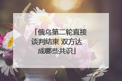 俄乌第二轮直接谈判结束 双方达成哪些共识