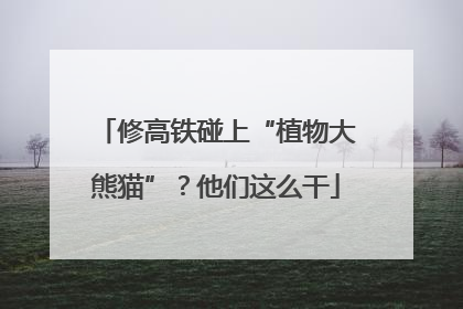 修高铁碰上“植物大熊猫”？他们这么干