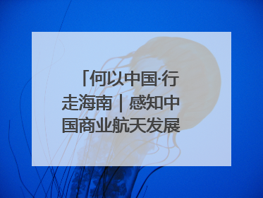 何以中国·行走海南｜感知中国商业航天发展，从文昌开始