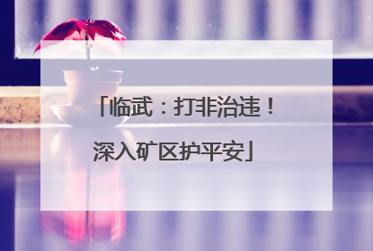 临武:打非治违!深入矿区护平安