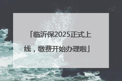 临沂保2025正式上线，缴费开始办理啦