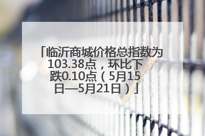临沂商城价格总指数为103.38点，环比下跌0.10点（5月15日—5月21日）