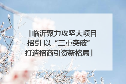 临沂聚力攻坚大项目招引 以“三重突破”打造招商引资新格局