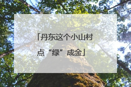 丹东这个小山村点“绿”成金