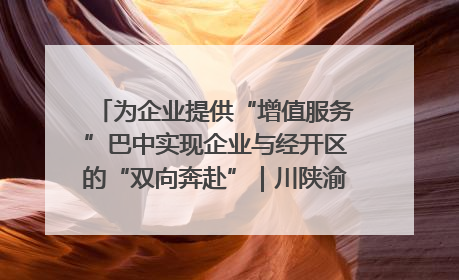 为企业提供“增值服务”巴中实现企业与经开区的“双向奔赴”｜川陕渝网络名人巴中行