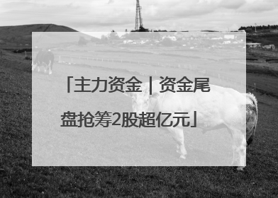 主力资金｜资金尾盘抢筹2股超亿元