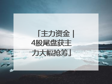 主力资金｜4股尾盘获主力大幅抢筹