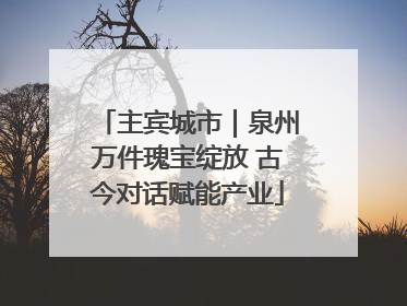 主宾城市｜泉州万件瑰宝绽放 古今对话赋能产业
