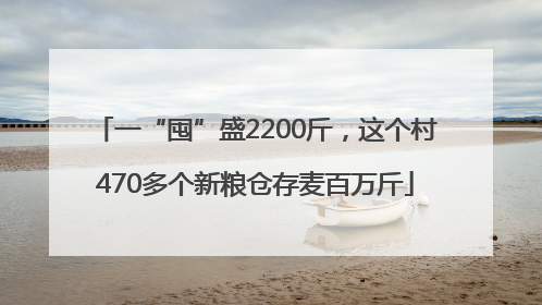 一“囤”盛2200斤，这个村470多个新粮仓存麦百万斤