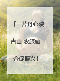 一片丹心映青山 农旅融合促振兴
