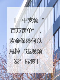 一中支领“百万罚单”，紫金保险何以甩掉“违规频发”标签