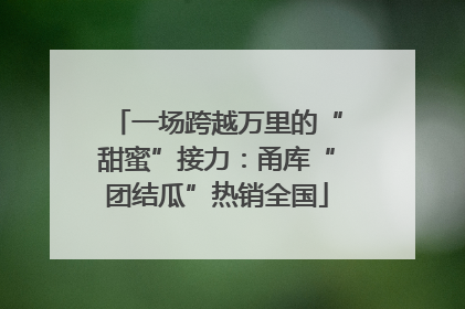 一场跨越万里的“甜蜜”接力：甬库“团结瓜”热销全国
