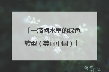 一滴卤水里的绿色转型（美丽中国）