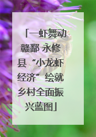 一虾舞动赣鄱 永修县“小龙虾经济”绘就乡村全面振兴蓝图