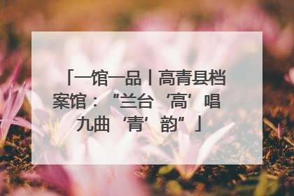 一馆一品丨高青县档案馆：“兰台‘高’唱 九曲‘青’韵”
