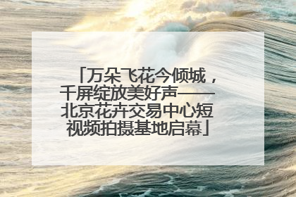 万朵飞花今倾城，千屏绽放美好声——北京花卉交易中心短视频拍摄基地启幕