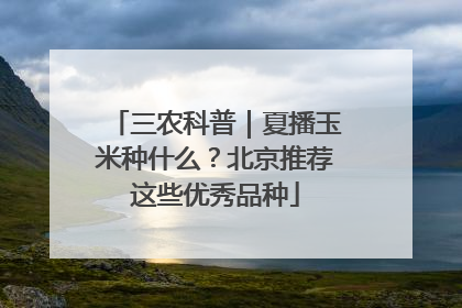 三农科普｜夏播玉米种什么？北京推荐这些优秀品种