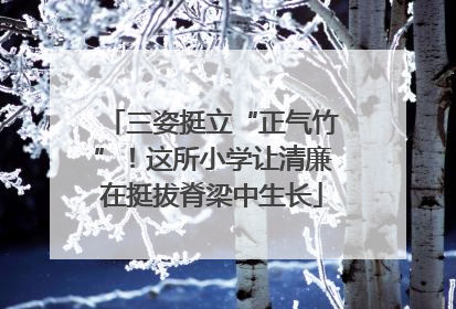 三姿挺立“正气竹”！这所小学让清廉在挺拔脊梁中生长