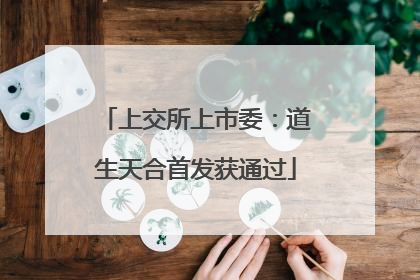 上交所上市委：道生天合首发获通过
