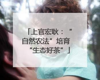 上官宏耿：“自然农法”培育“生态好茶”