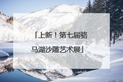 上新！第七届骆马湖沙雕艺术展