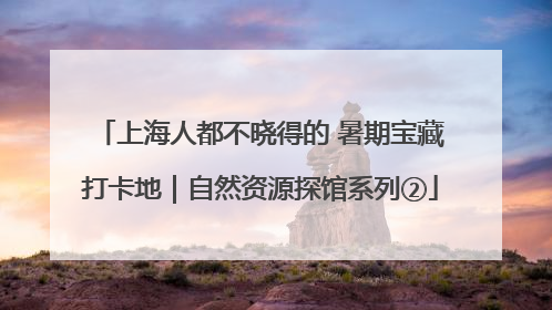 上海人都不晓得的 暑期宝藏打卡地｜自然资源探馆系列②