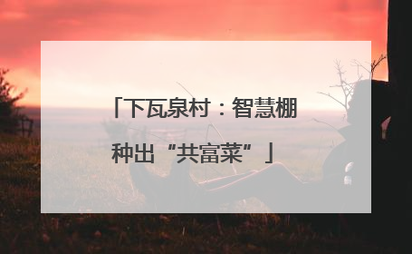 下瓦泉村：智慧棚种出“共富菜”