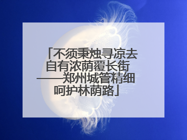 不须秉烛寻凉去 自有浓荫覆长街——郑州城管精细呵护林荫路