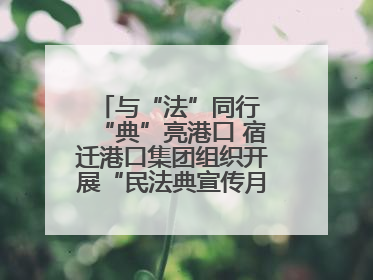 与“法”同行 “典”亮港口 宿迁港口集团组织开展“民法典宣传月”系列活动