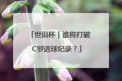 世俱杯｜谁将打破C罗进球纪录？