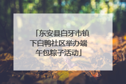 东安县白牙市镇下白鸭社区举办端午包粽子活动