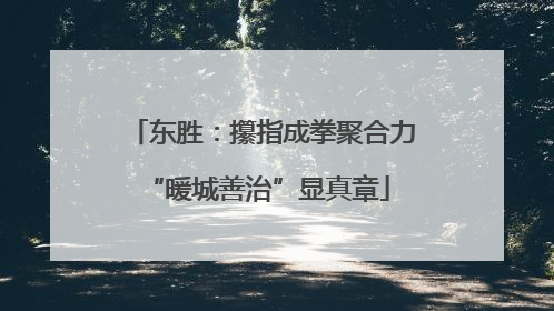 东胜：攥指成拳聚合力 “暖城善治”显真章
