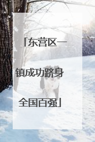 东营区一镇成功跻身全国百强