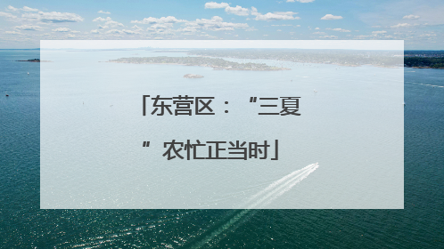 东营区：“三夏”农忙正当时