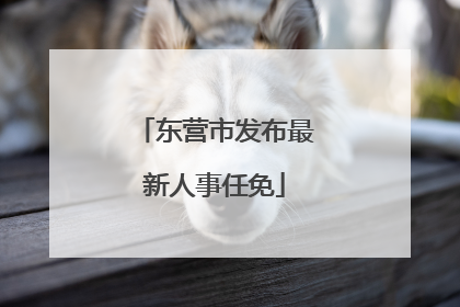 东营市发布最新人事任免