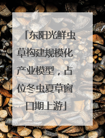 东阳光鲜虫草构建规模化产业模型，占位冬虫夏草窗口期上游