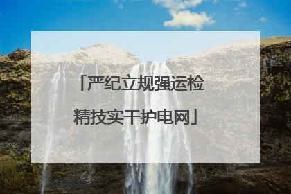 严纪立规强运检 精技实干护电网